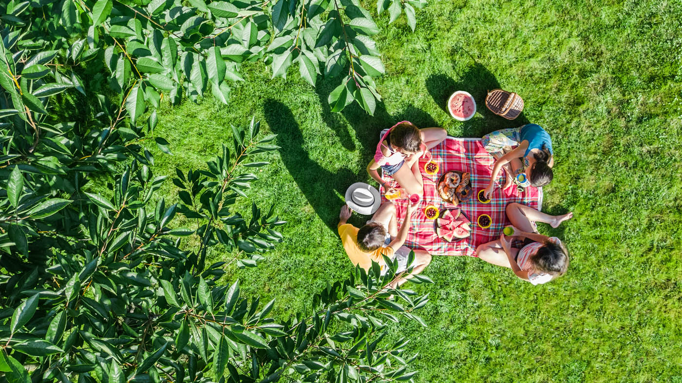 A family having a picnic in their backyard, contact us today for Charlotte fence permits.