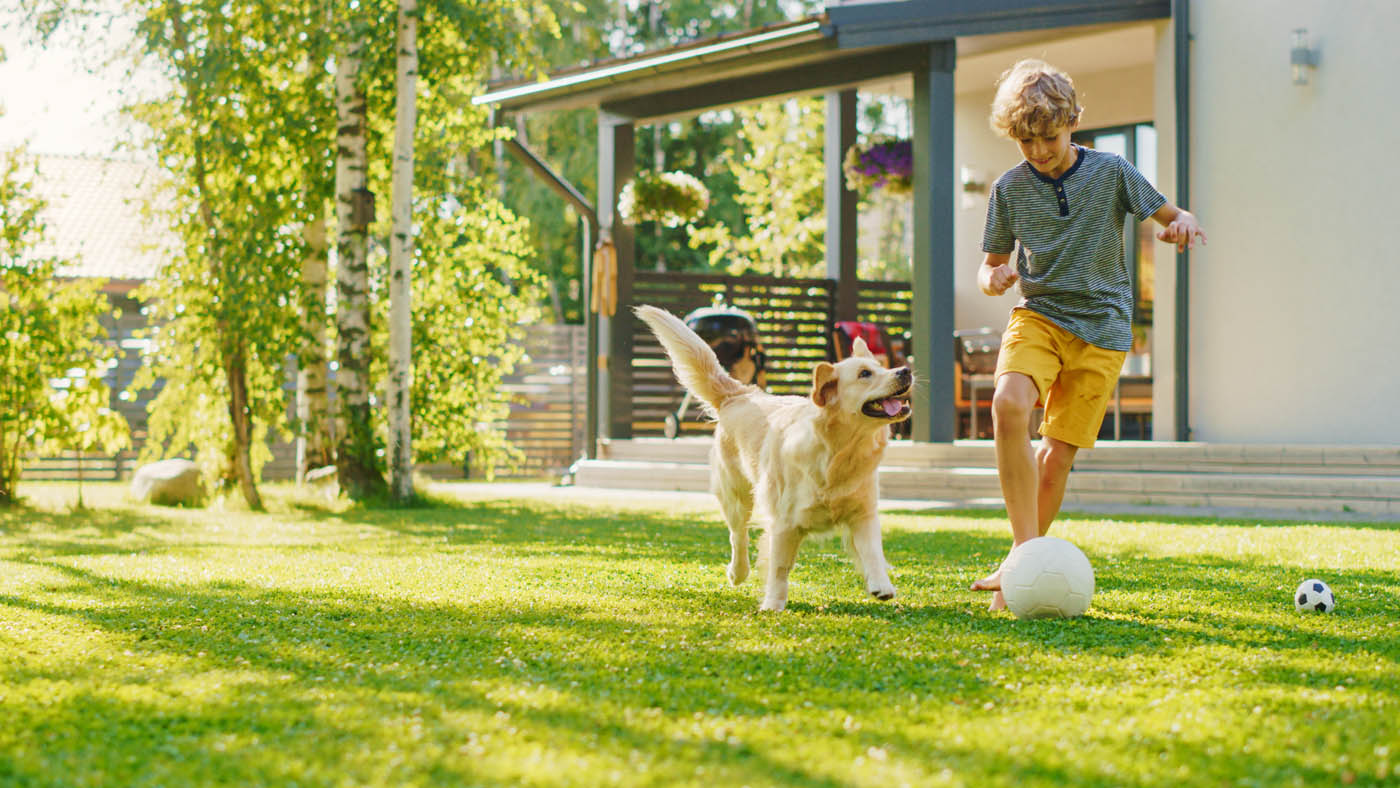 A boy playing with their dog outdoors - choose 76 FENCE for your Nashville pet fence installation.