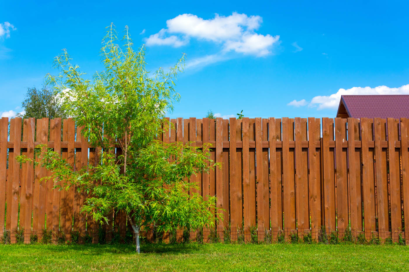 A beautiful fence refreshed from a 76 FENCE Concord / Salisbury fence cleaning.