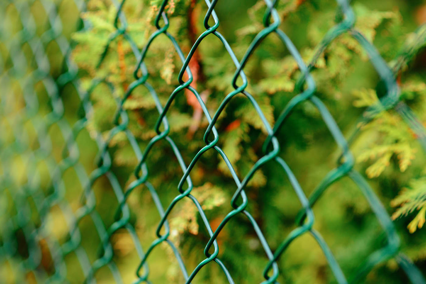 A close up of a Hendersonville / Gallatin chain link fence.