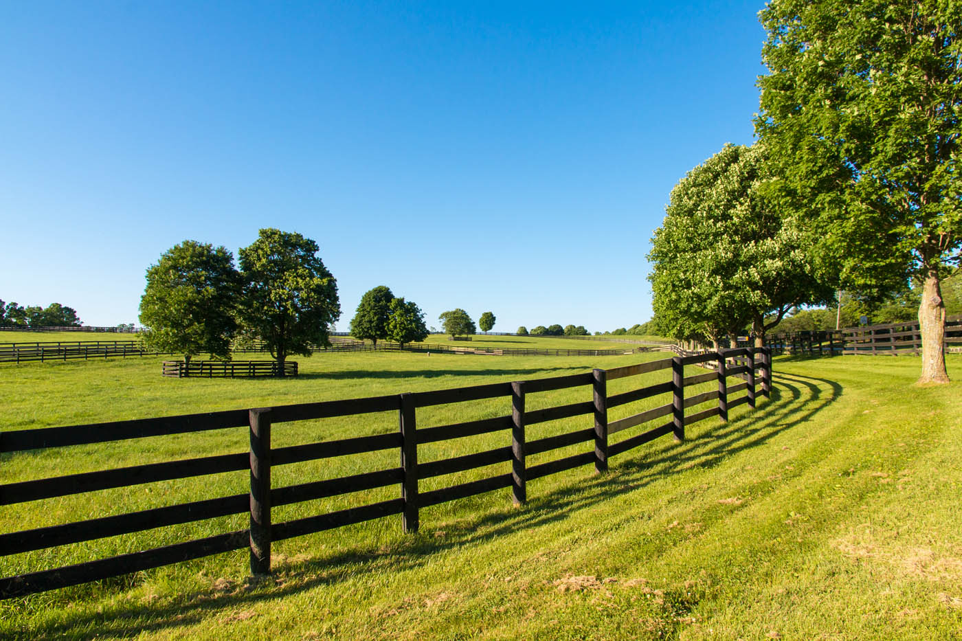 76 FENCE - 76 FENCE. Split Rail Fence Styles & Installation