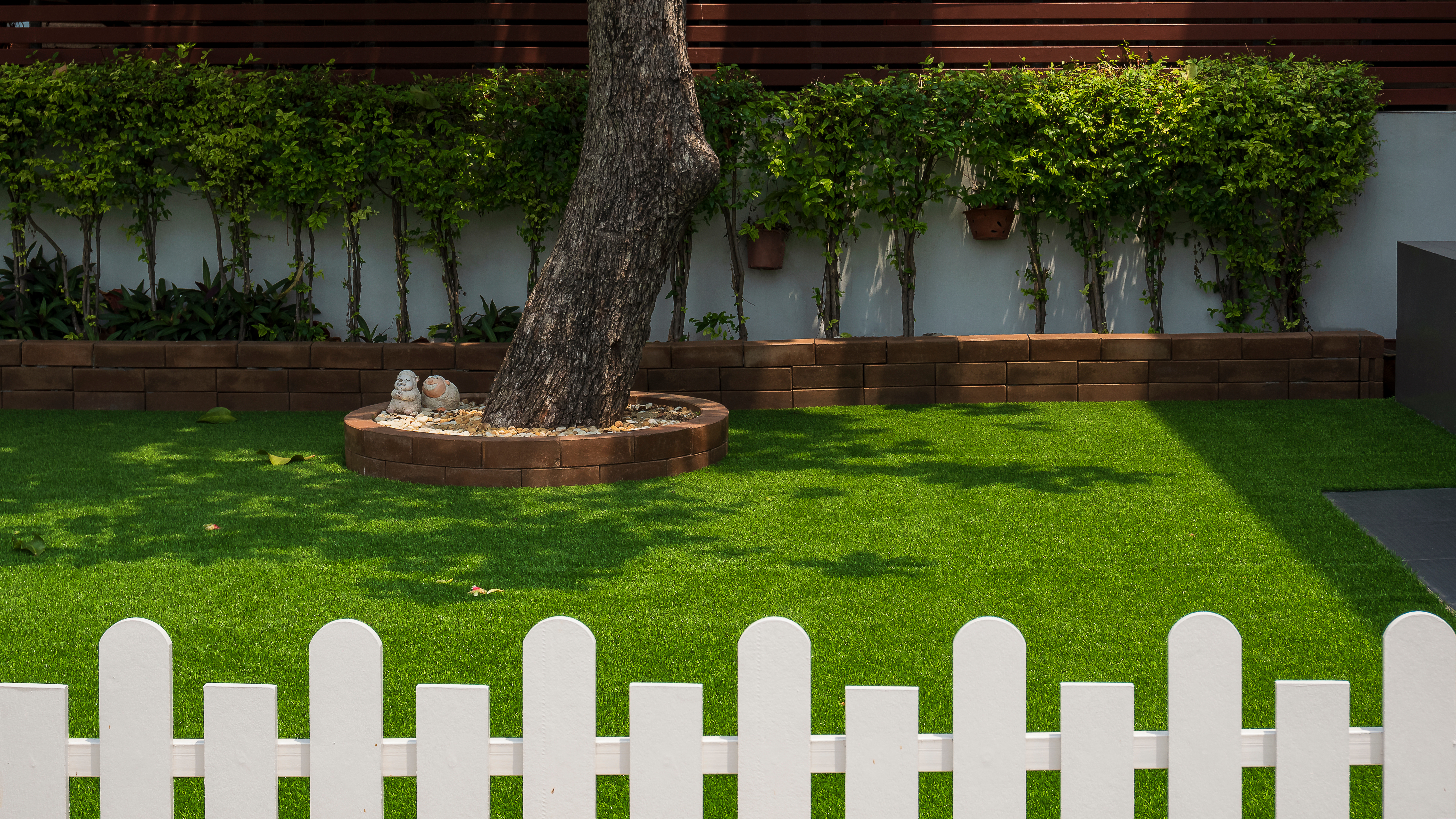 A front yard with newly installed turf and a white fence.